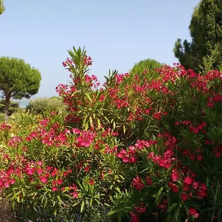 Flamants Et Cigales Holiday home *