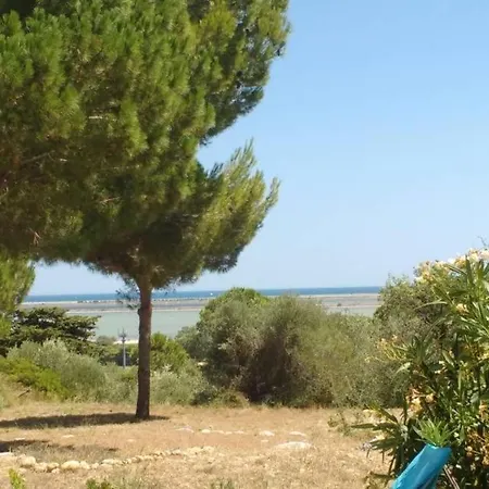 Flamants Et Cigales * La Palme