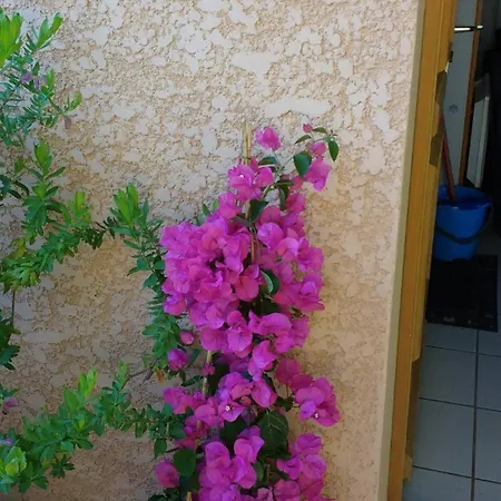 Holiday home Flamants Et Cigales
